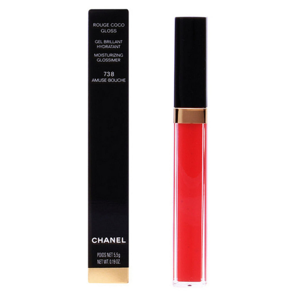 Lippgloss rouge coco chanel - schönheit make-up