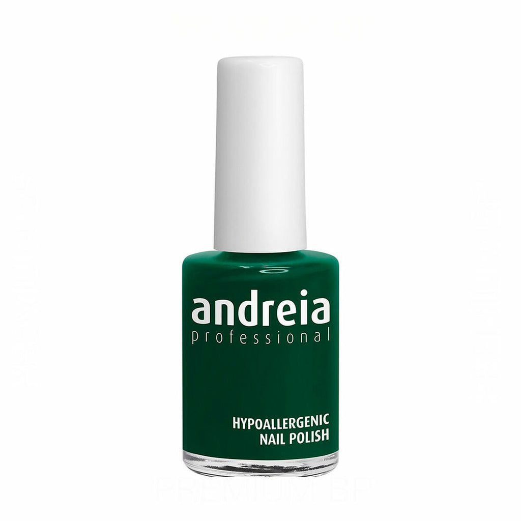 Nagellack andreia professional hypoallergenic nº 04 (14