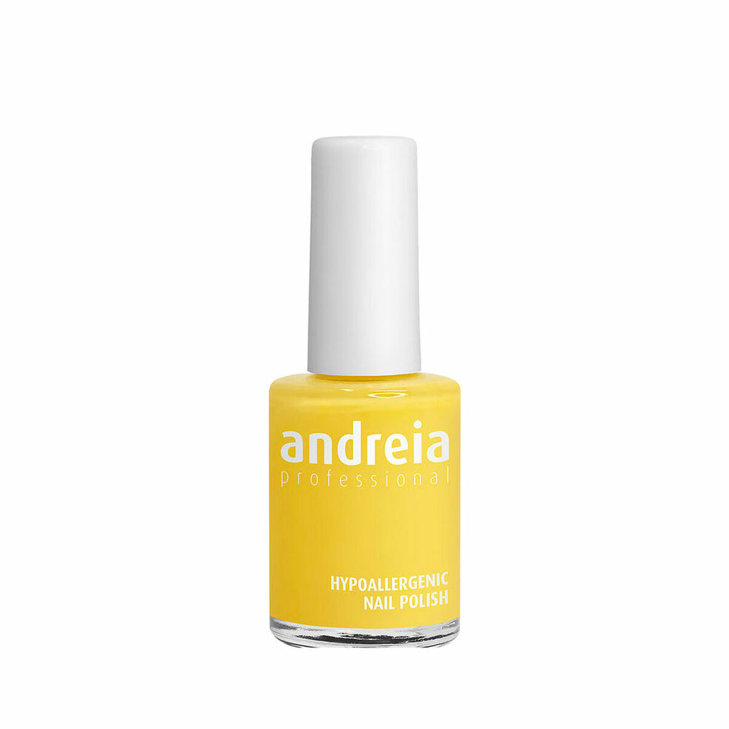 Nagellack andreia professional hypoallergenic nº 85 (14