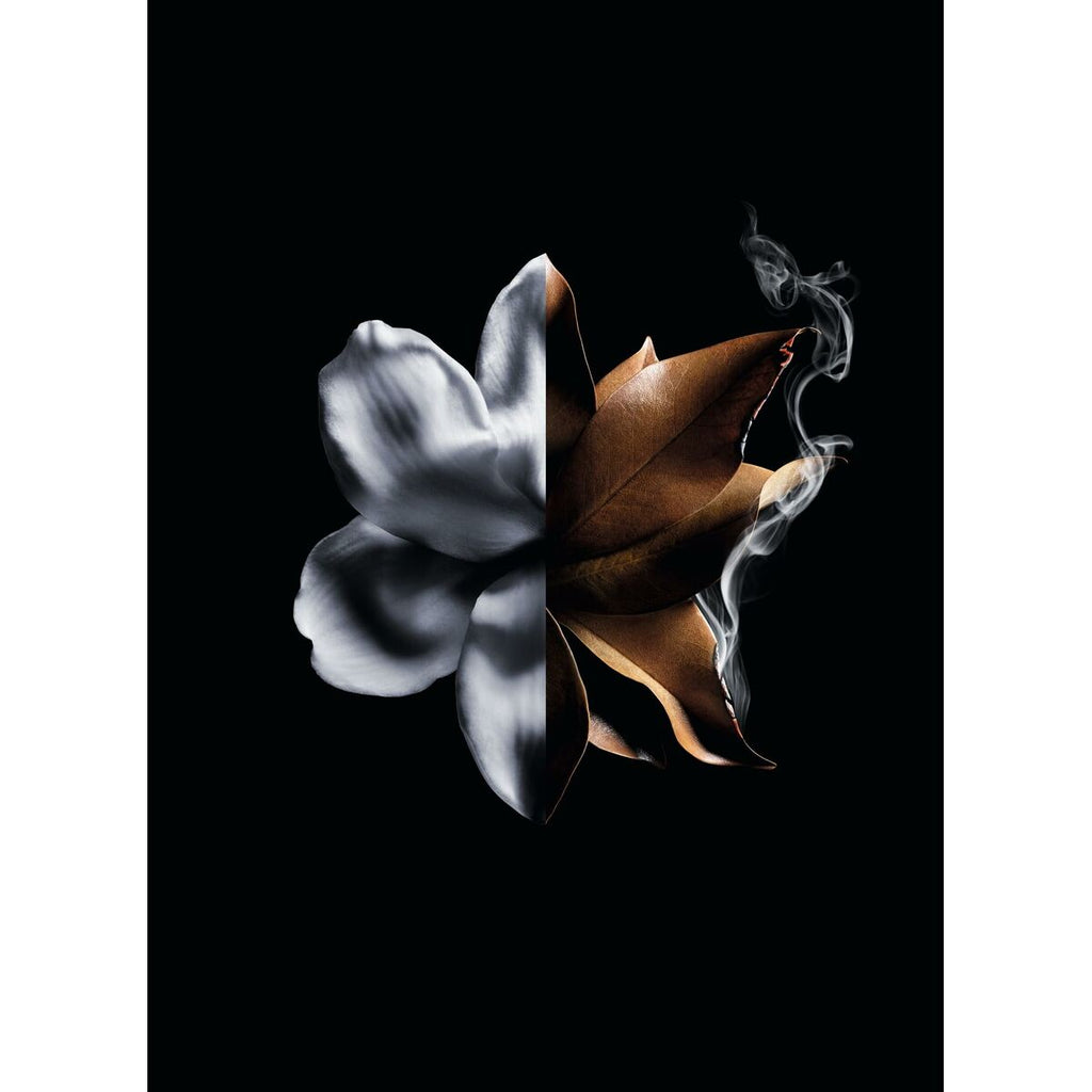 Damenparfüm givenchy l’interdit absolu 50 ml - schönheit
