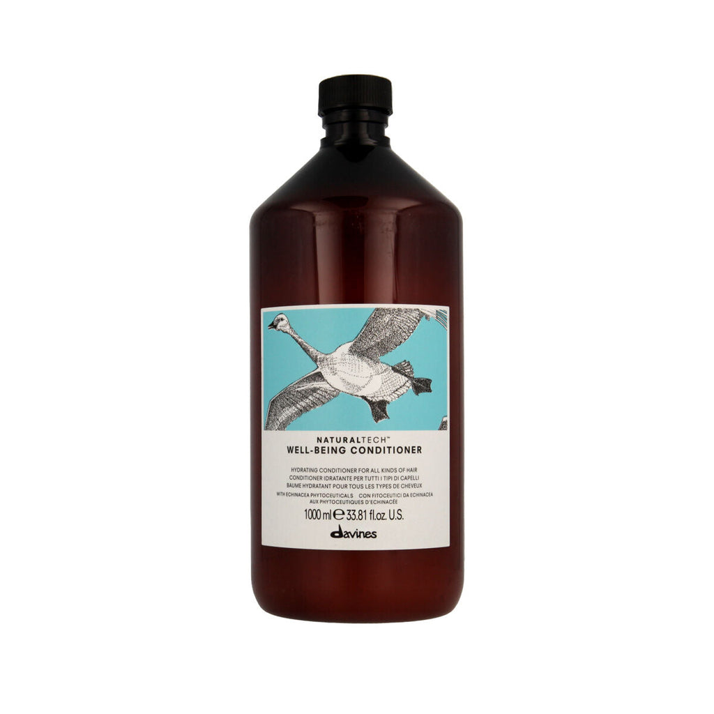 Entwirrender conditioner davines well-being