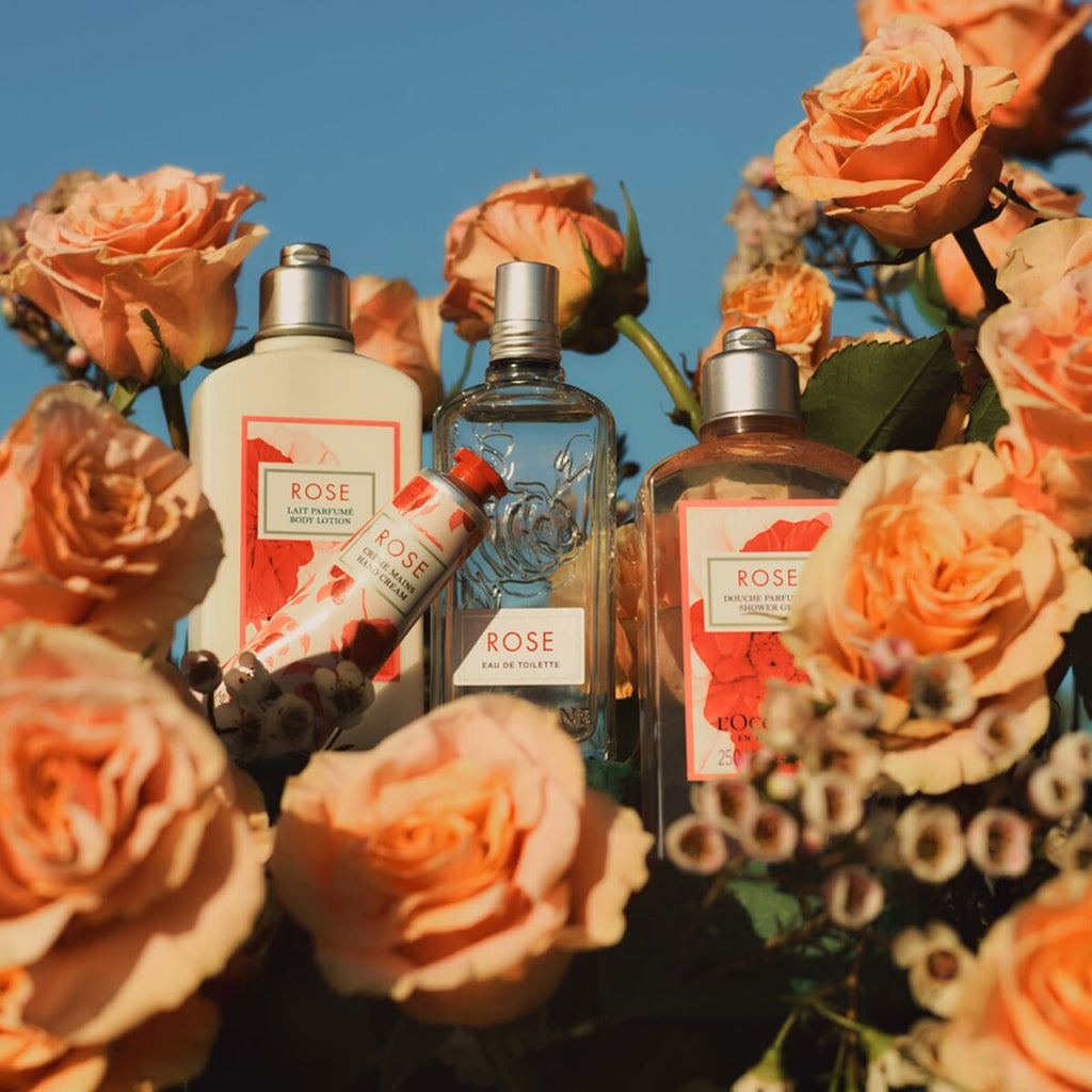 Feuchtigkeitsspendende fusscreme l’occitane en provence