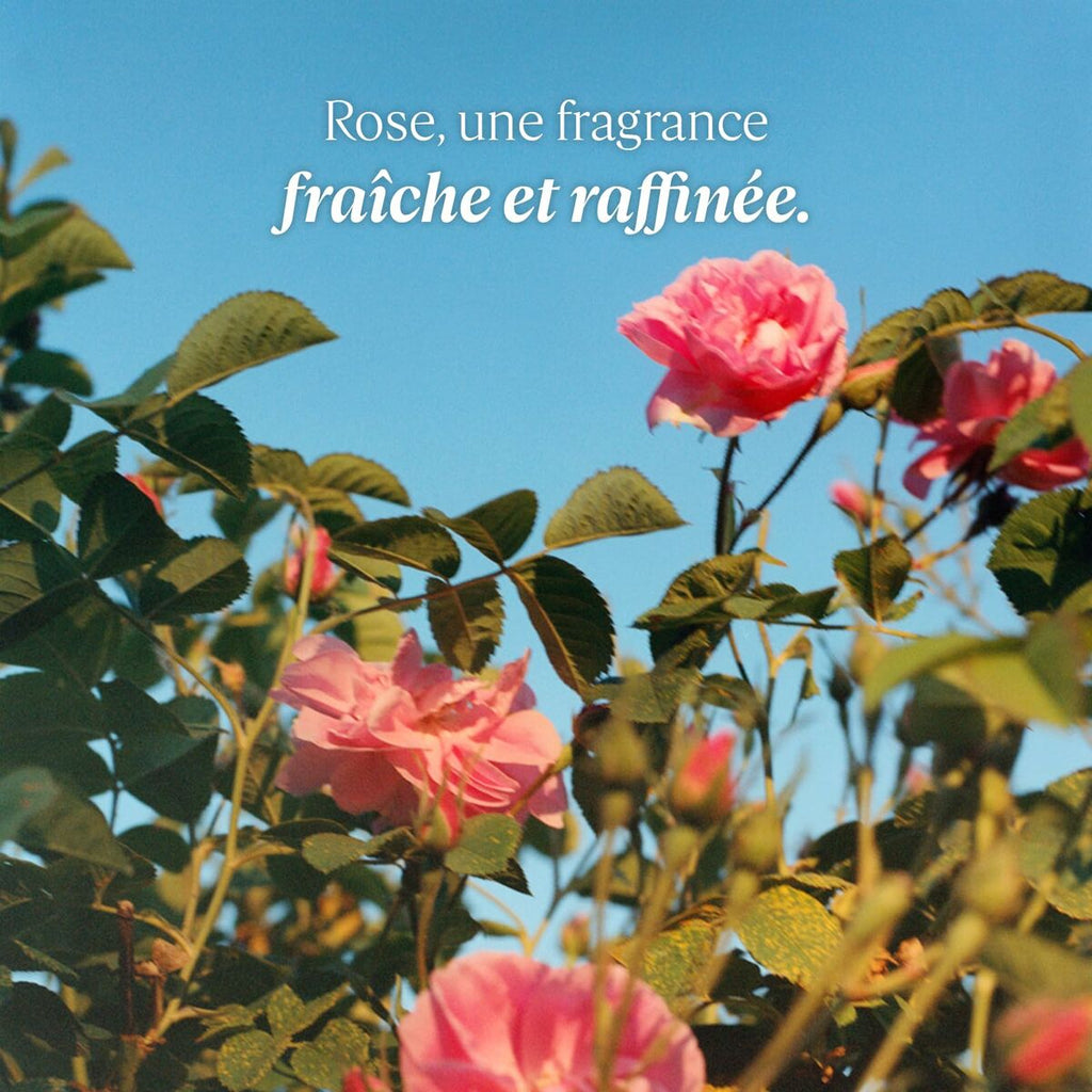 Feuchtigkeitsspendende fusscreme l’occitane en provence