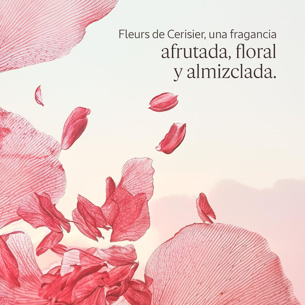 Körperlotion l’occitane en provence fleurs de cerisier