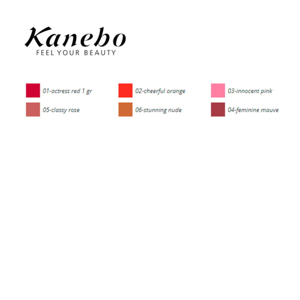 Lippenprofiler colours kanebo - schönheit make-up