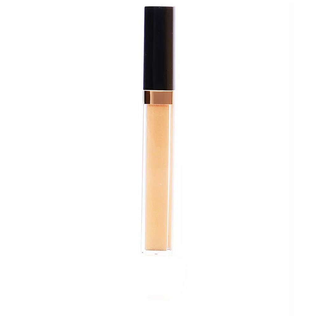 Lippgloss rouge coco chanel - schönheit make-up