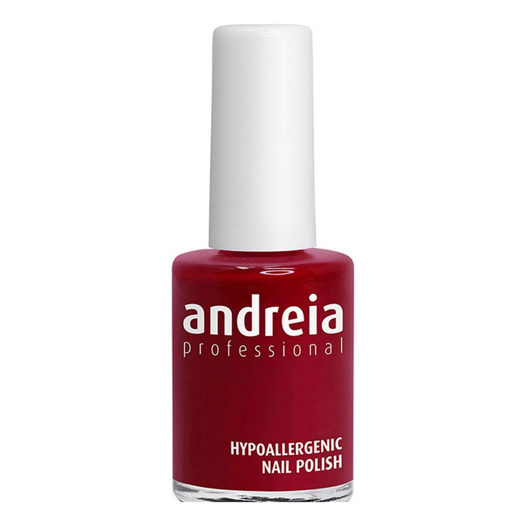 Nagellack andreia professional hypoallergenic nº 117 (14