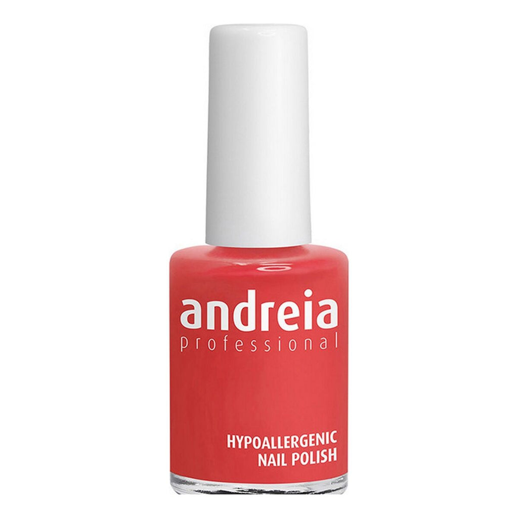 Nagellack andreia professional hypoallergenic nº 119 (14