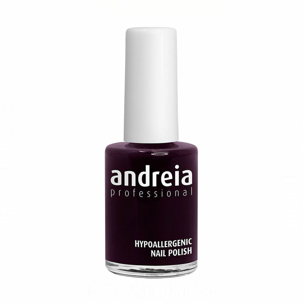 Nagellack andreia professional hypoallergenic nº 69 (14