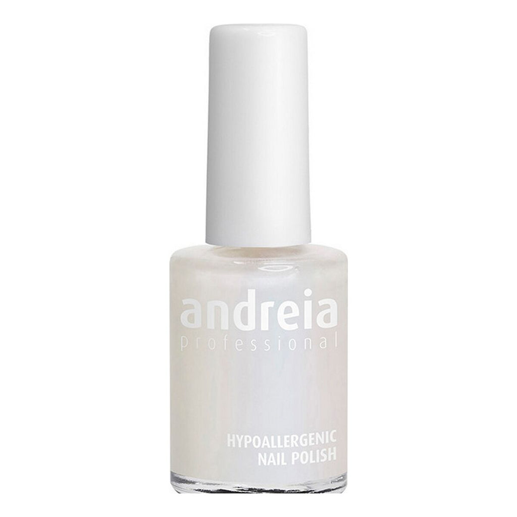 Nagellack andreia professional hypoallergenic nº 90 (14