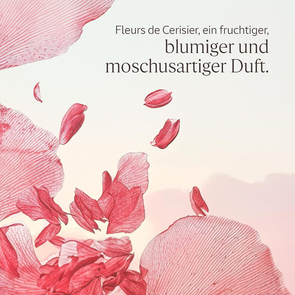 Reduzierungscreme l’occitane en provence fleurs de cerisier