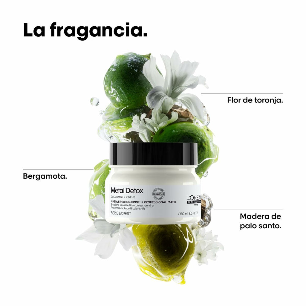 Reparaturmaske l’oreal professionnel paris metal detox 150
