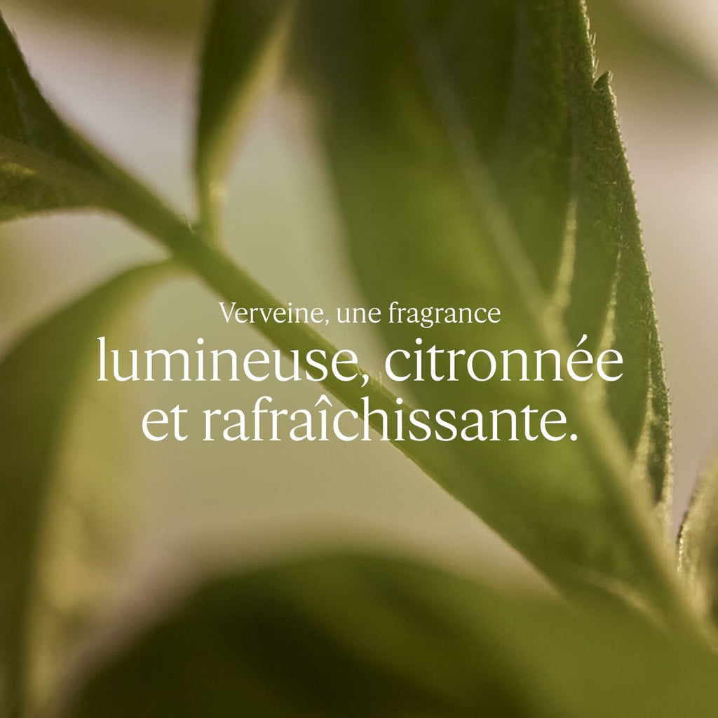 Unisex-parfüm l’occitane en provence verbena verbena 100 ml